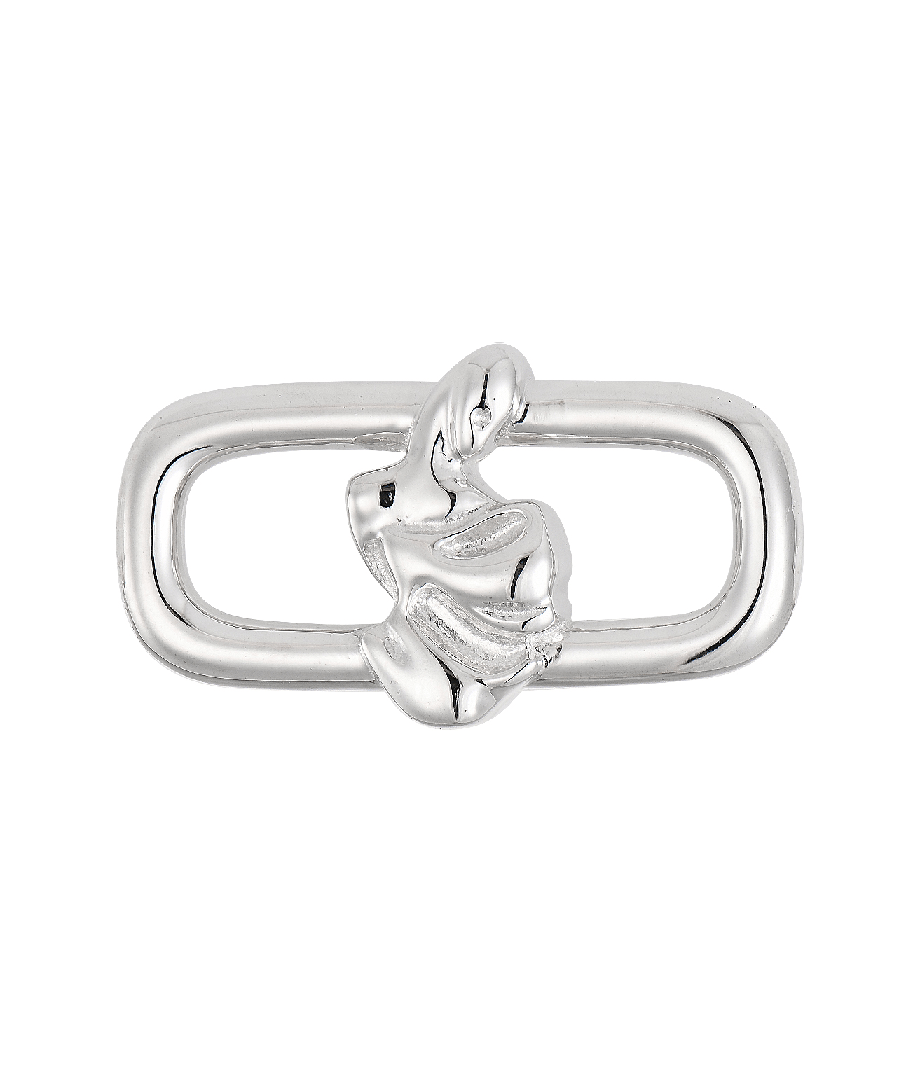 Aquarius Charm – Dyrka