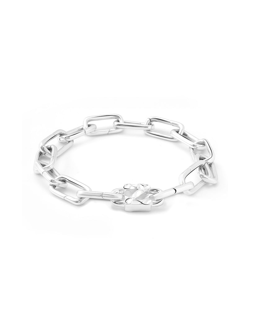 Z Charm